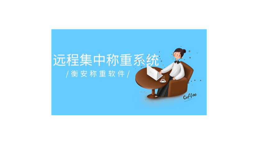 衡安稱重軟件極大限度的降低經(jīng)營(yíng)成本
