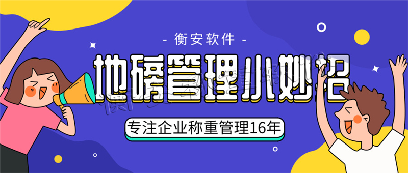 衡安地磅稱重軟件系統(tǒng) (7)