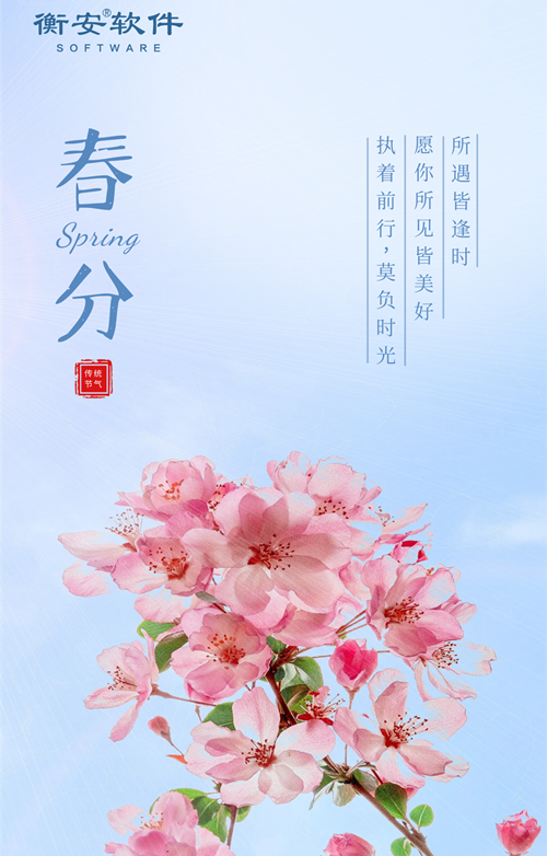 衡安軟件