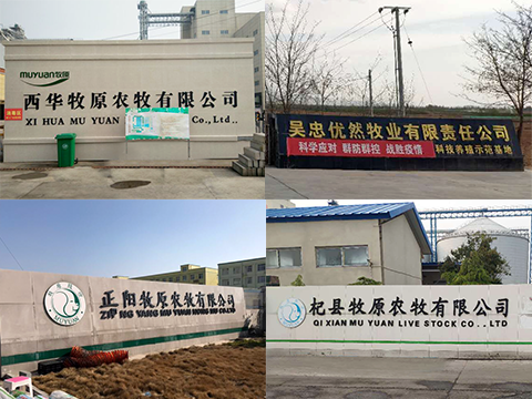 衡安無人值守稱重系統(tǒng)