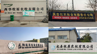 畜牧行業(yè)為什么要做無(wú)人值守稱(chēng)重系統(tǒng)
