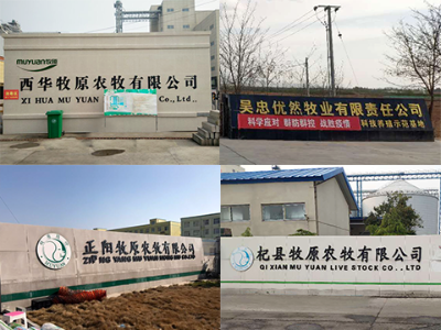 畜牧行業(yè)稱重解決方案